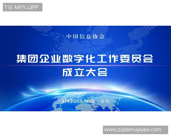 巅峰承诺始终如一携手共创美好未来的坚定信念与行动 巅峰承诺始终如一携手共创美好未来的坚定信念与行动