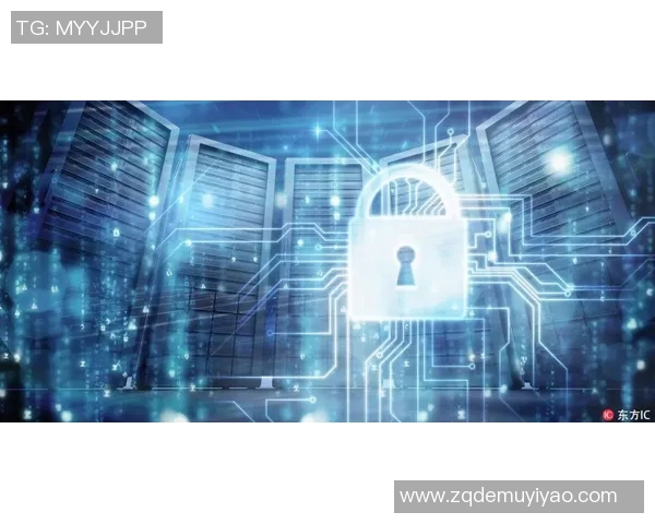 星空娱乐安全保障体系构建与实施策略研究探讨