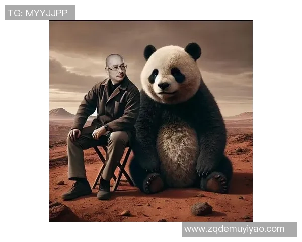 熊猫体育用户交互设计探索提升用户体验与参与度的创新策略