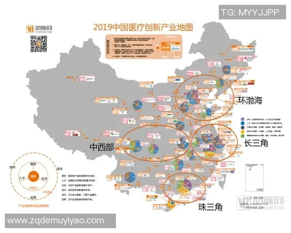 红桃国际未来规划展望与发展战略解析及实施路径探讨