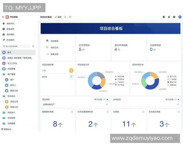 新宝GG创新项目管理助力企业高效协作与持续发展新模式探索