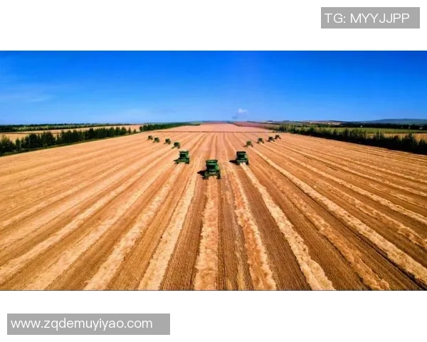 新宝GG技术成果转化助力产业升级与创新发展新路径探索